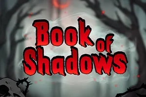book of shadows book of shadows