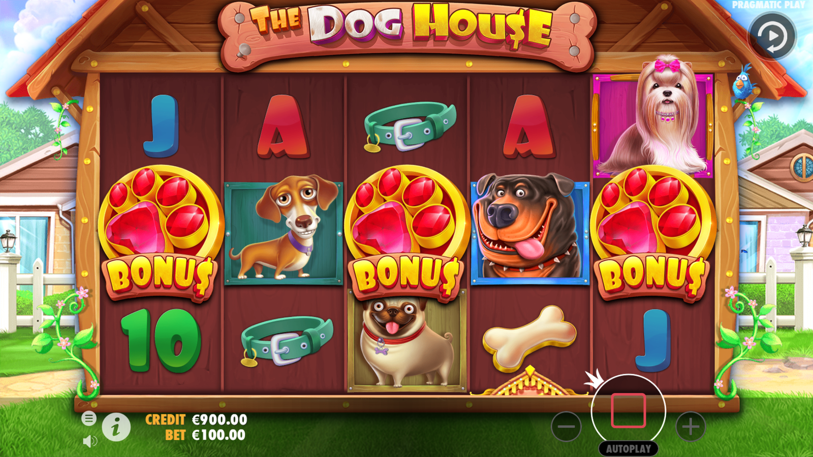 the dog house demo