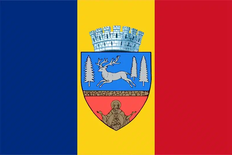 Bacau Bacau
