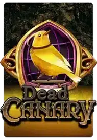 dead canary luck dead canary luck